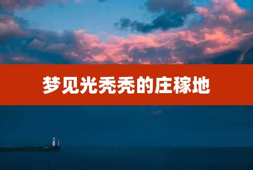 梦见光秃秃的庄稼地