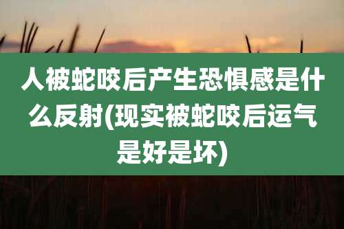 人被蛇咬后产生恐惧感是什么反射(现实被蛇咬后运气是好是坏)