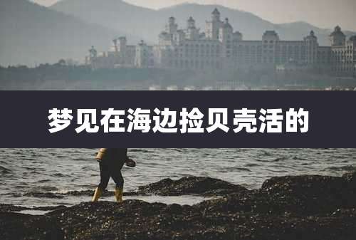 梦见在海边捡贝壳活的