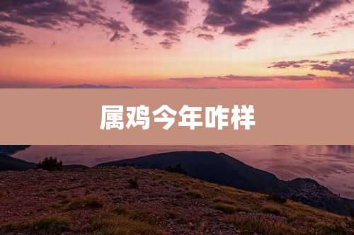 属鸡今年咋样