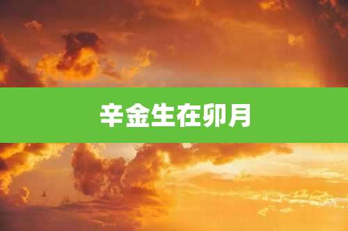 辛金生在卯月