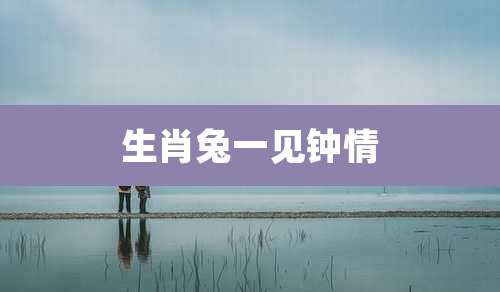 生肖兔一见钟情