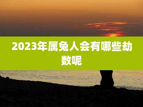 2023年属兔人会有哪些劫数呢