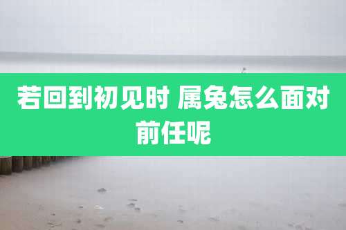 若回到初见时 属兔怎么面对前任呢