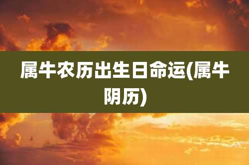 属牛农历出生日命运(属牛阴历)