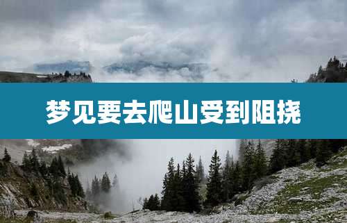 梦见要去爬山受到阻挠
