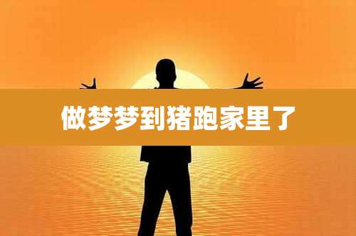 做梦梦到猪跑家里了