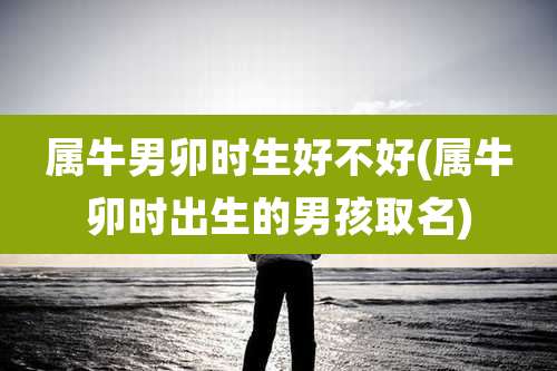 属牛男卯时生好不好(属牛卯时出生的男孩取名)