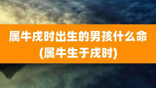 属牛戌时出生的男孩什么命(属牛生于戌时)