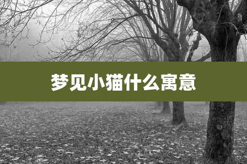 梦见小猫什么寓意
