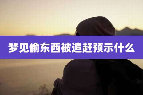 梦见偷东西被追赶预示什么