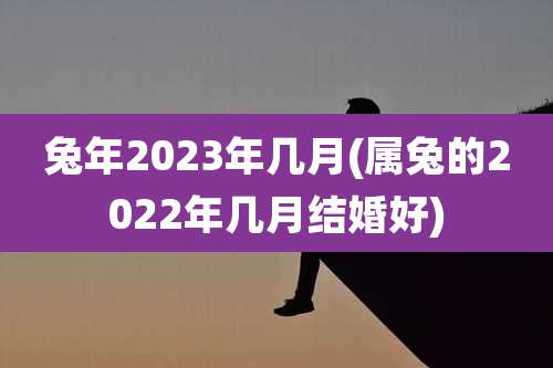 兔年2023年几月(属兔的2022年几月结婚好)