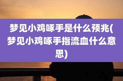 梦见小鸡啄手是什么预兆(梦见小鸡啄手指流血什么意思)