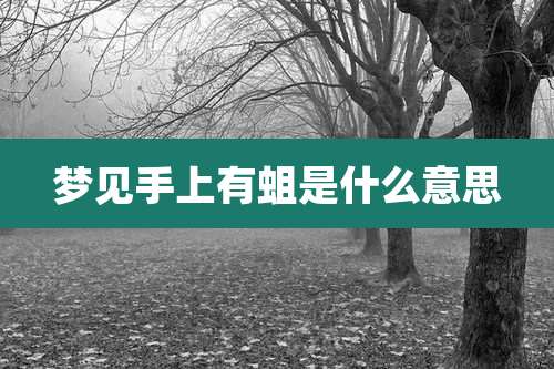 梦见手上有蛆是什么意思
