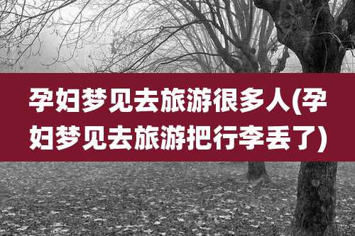 孕妇梦见去旅游很多人(孕妇梦见去旅游把行李丢了)