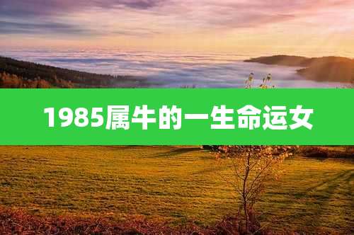 1985属牛的一生命运女