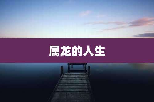属龙的人生