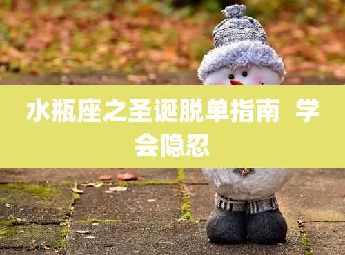 水瓶座之圣诞脱单指南  学会隐忍