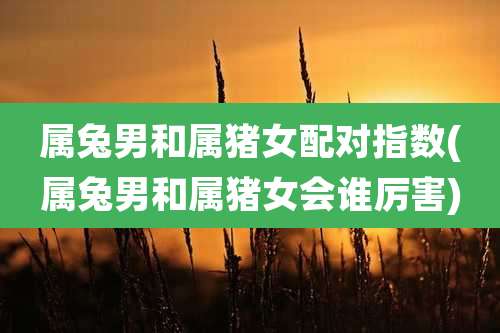 属兔男和属猪女配对指数(属兔男和属猪女会谁厉害)