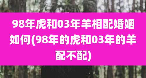 98年虎和03年羊相配婚姻如何(98年的虎和03年的羊配不配)
