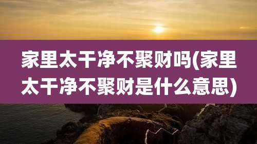 家里太干净不聚财吗(家里太干净不聚财是什么意思)