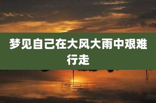 梦见自己在大风大雨中艰难行走