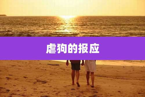 虐狗的报应