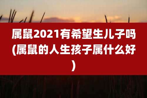 属鼠2021有希望生儿子吗(属鼠的人生孩子属什么好)