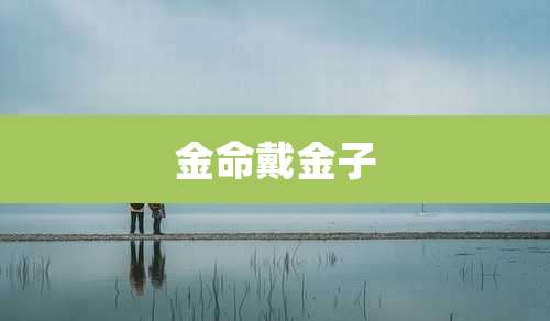 金命戴金子