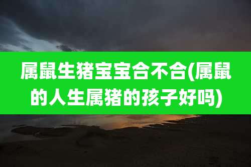 属鼠生猪宝宝合不合(属鼠的人生属猪的孩子好吗)