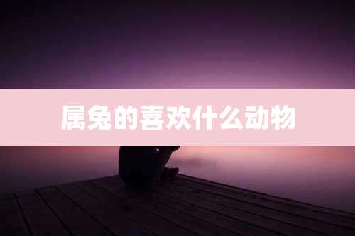 属兔的喜欢什么动物