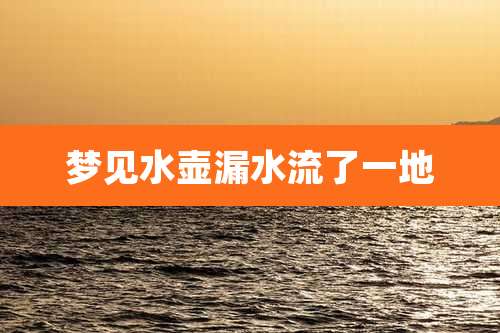 梦见水壶漏水流了一地