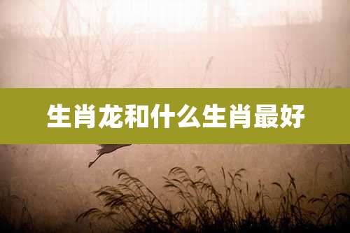 生肖龙和什么生肖最好