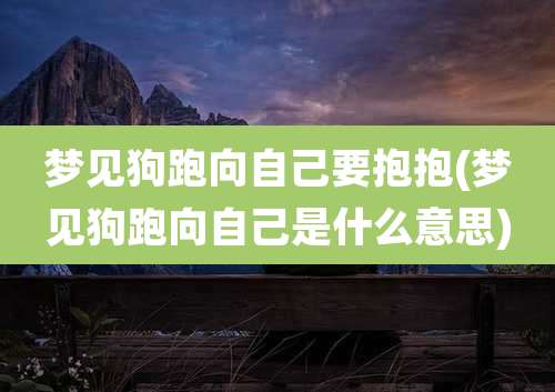 梦见狗跑向自己要抱抱(梦见狗跑向自己是什么意思)