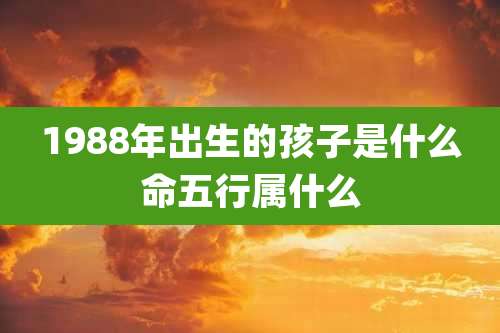 1988年出生的孩子是什么命五行属什么