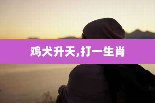 鸡犬升天,打一生肖