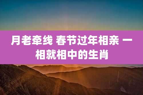 月老牵线 春节过年相亲 一相就相中的生肖