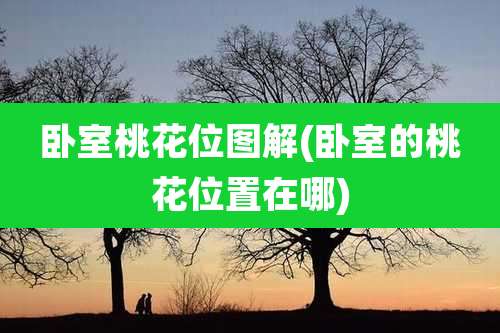 卧室桃花位图解(卧室的桃花位置在哪)