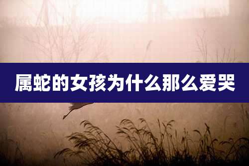 属蛇的女孩为什么那么爱哭