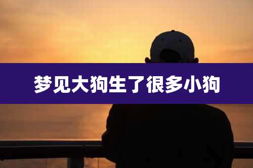 梦见大狗生了很多小狗