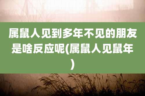 属鼠人见到多年不见的朋友是啥反应呢(属鼠人见鼠年)