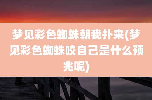 梦见彩色蜘蛛朝我扑来(梦见彩色蜘蛛咬自己是什么预兆呢)