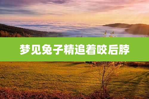 梦见兔子精追着咬后脖