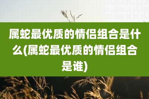 属蛇最优质的情侣组合是什么(属蛇最优质的情侣组合是谁)
