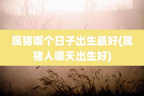 属猪哪个日子出生最好(属猪人哪天出生好)