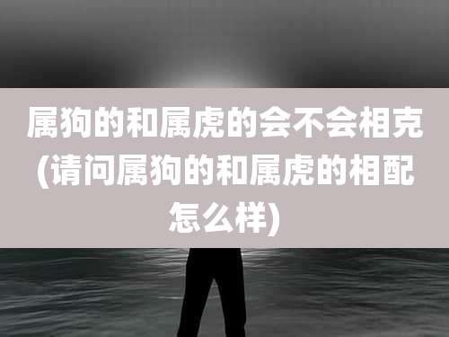 属狗的和属虎的会不会相克(请问属狗的和属虎的相配怎么样)