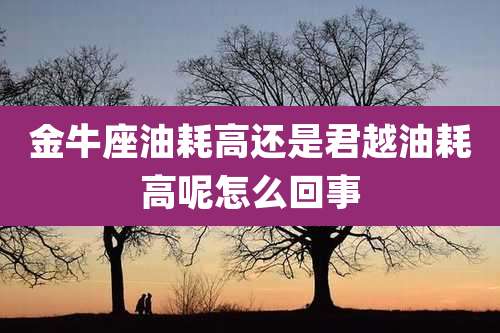 金牛座油耗高还是君越油耗高呢怎么回事