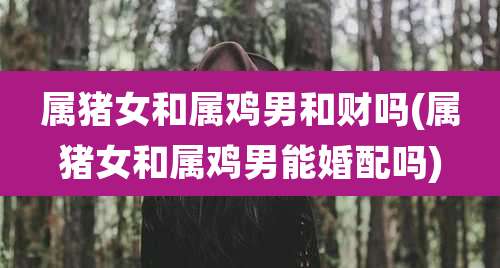属猪女和属鸡男和财吗(属猪女和属鸡男能婚配吗)