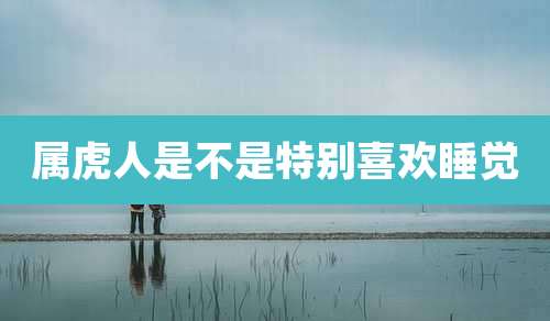 属虎人是不是特别喜欢睡觉