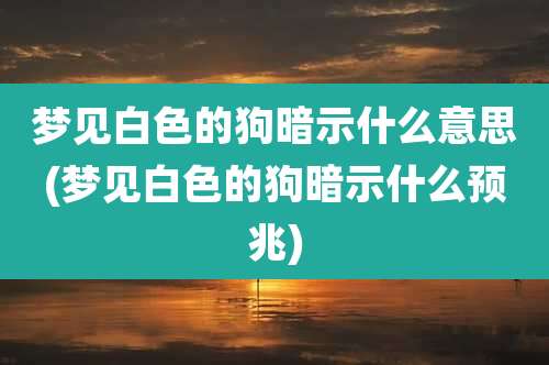 梦见白色的狗暗示什么意思(梦见白色的狗暗示什么预兆)